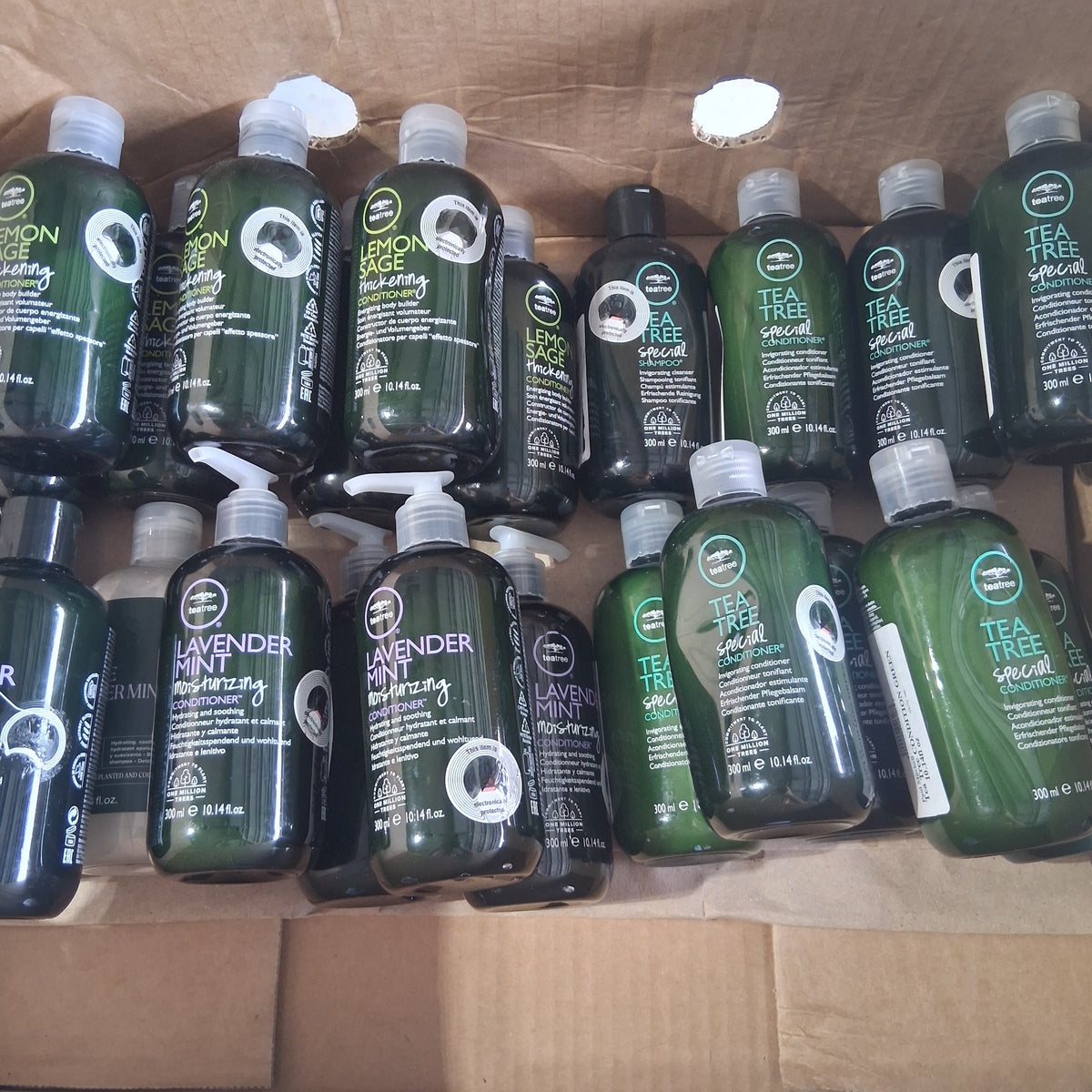 Paul Mitchell Tea Tree Special, Lavender Mint & Lemon Sage Shampoo & Conditioner Mix Lot | Premium Salon Hair Care Box, 10.14 Fl Oz (23 Pcs)