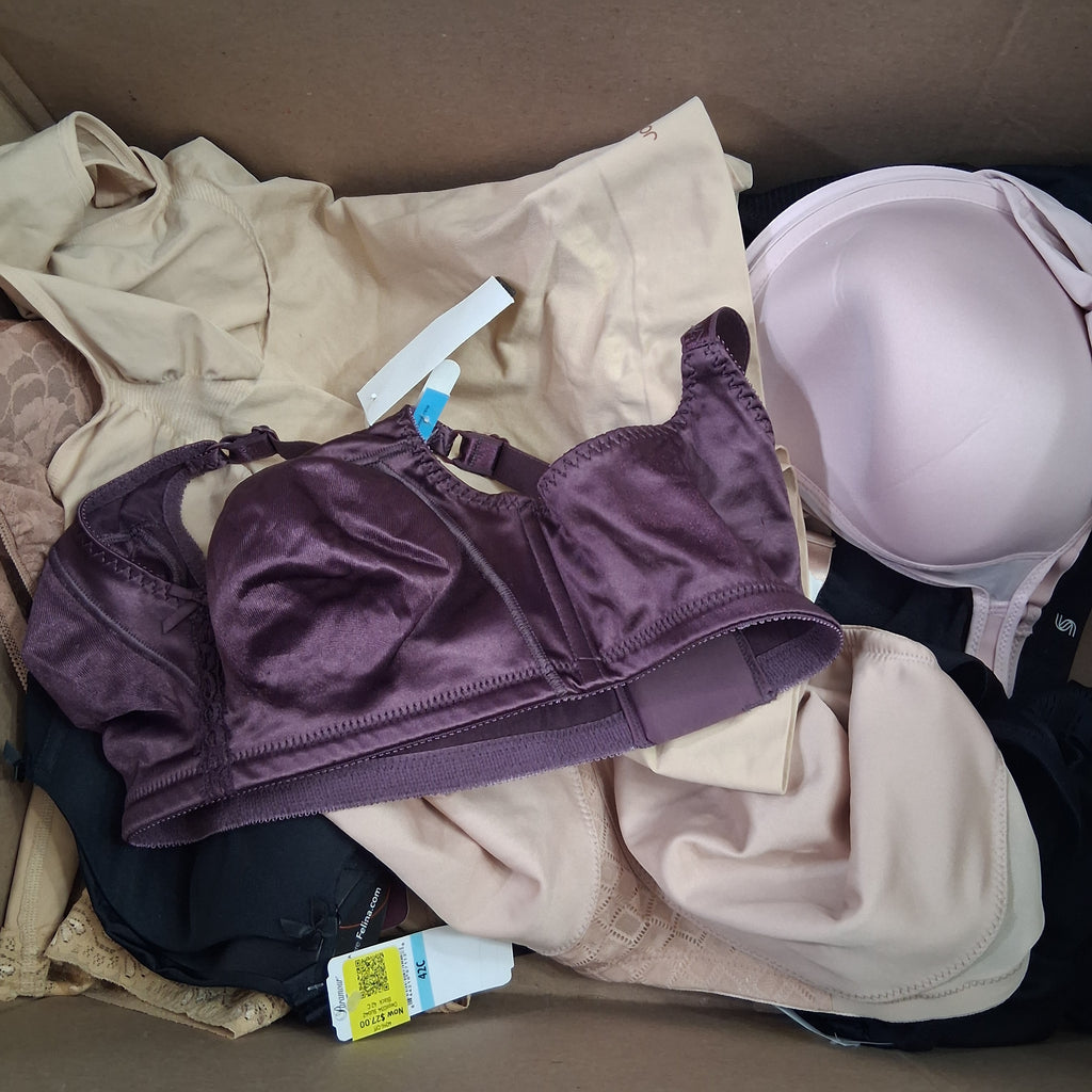 Premium Department Store Bra, Undergarments & Shapewear Mix Lot | Leonisa, Maidenform, Glamorise & Bali Bulk Reseller Box – Retail Shelf Pulls (20 Pcs)