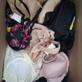 Premium Department Store Bra, Undergarments & Shapewear Mix Lot | Leonisa, Maidenform, Glamorise & Bali Bulk Reseller Box – Retail Shelf Pulls (20 Pcs)